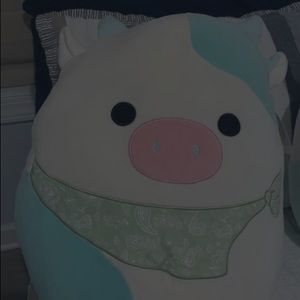 Meet your Posher, Miriam